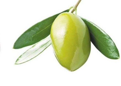 Aceituna