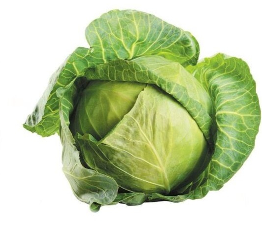 Repollo completo
